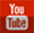 Youtube ICON